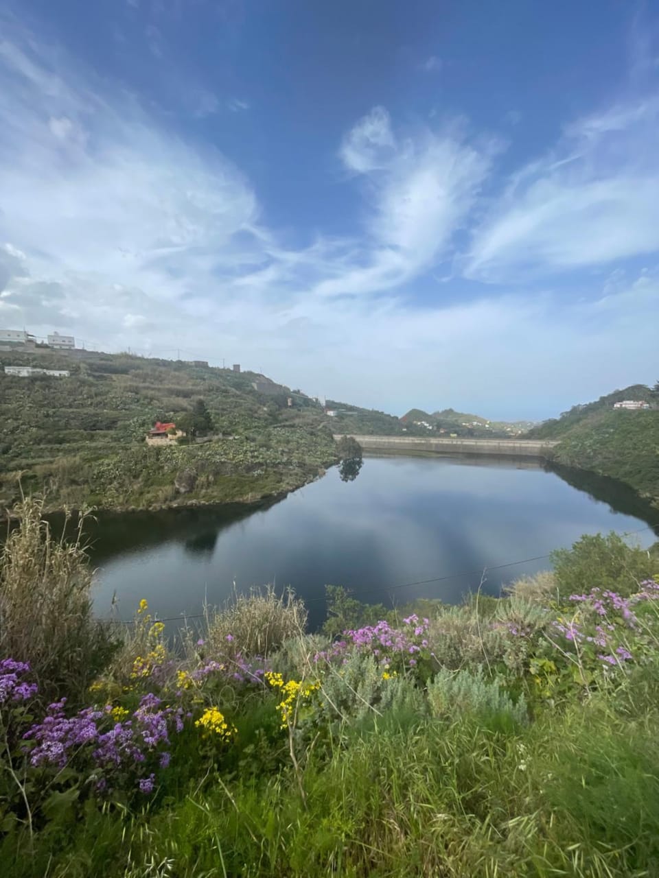 Natural landscape