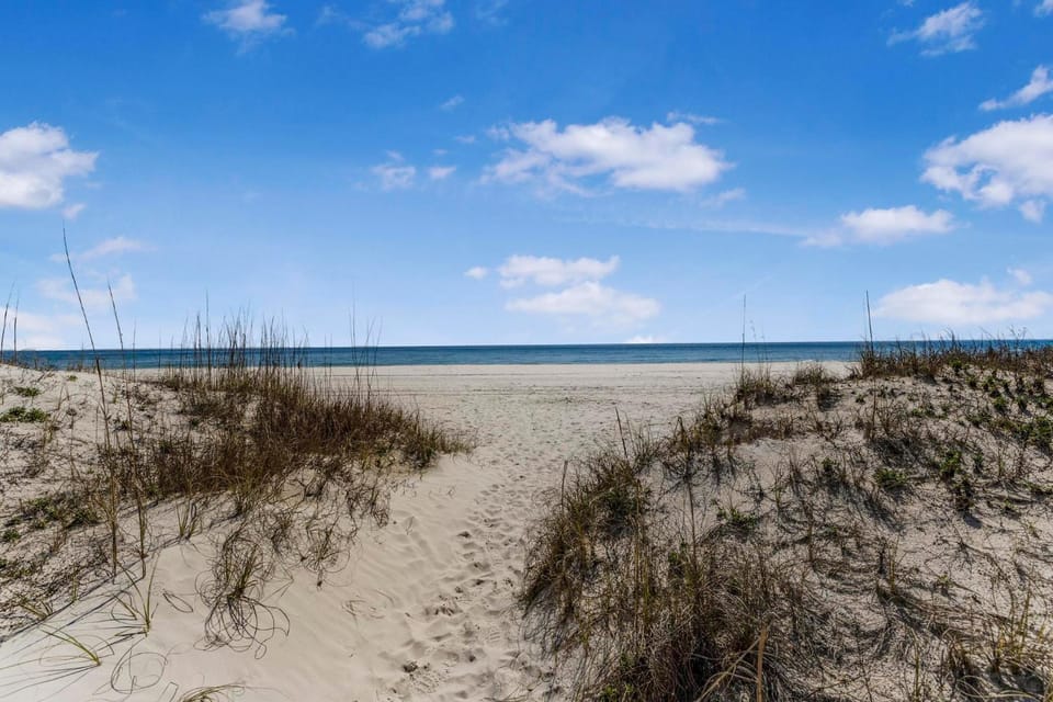 Buena Vista 302 by Vacation Homes Collection Apartment in West Beach