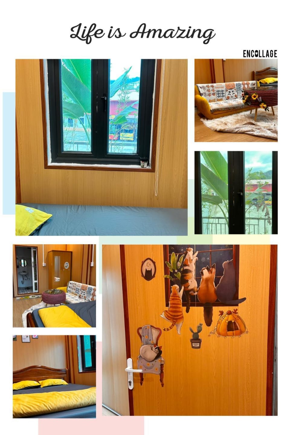 Cat homestay Vacation rental in Vietnam
