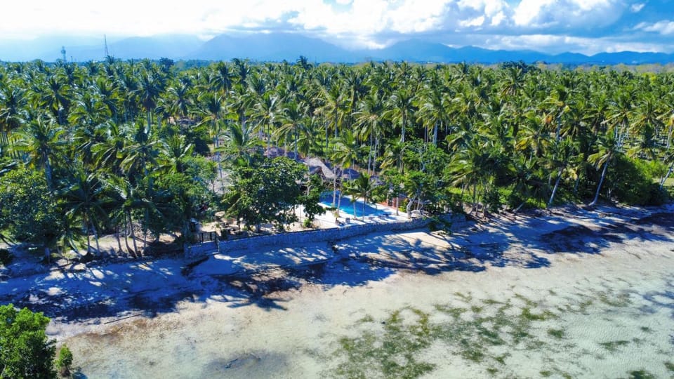 Natural landscape, Bird's eye view, Sea view