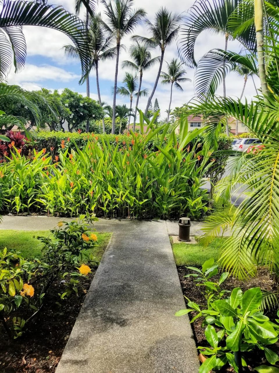 Natural landscape, Garden view