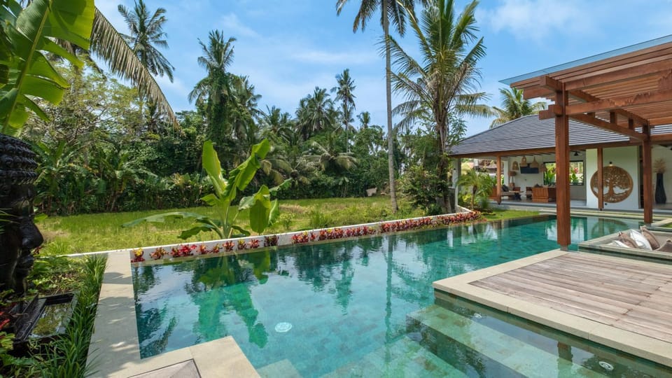 Patio, Garden, Garden view, Pool view, Swimming pool, sunbed