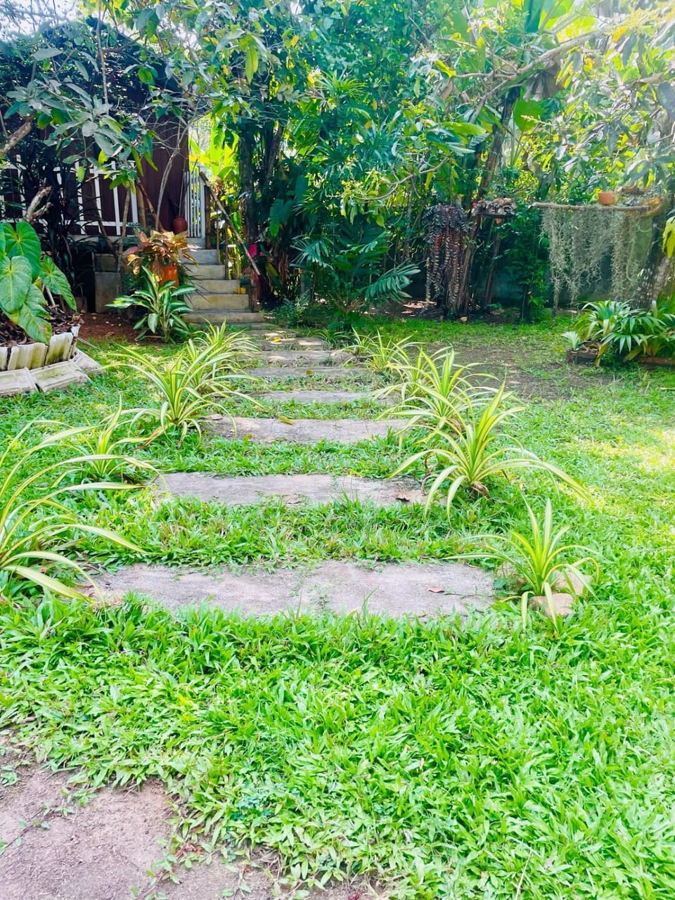 Day, Garden, Garden, Garden view