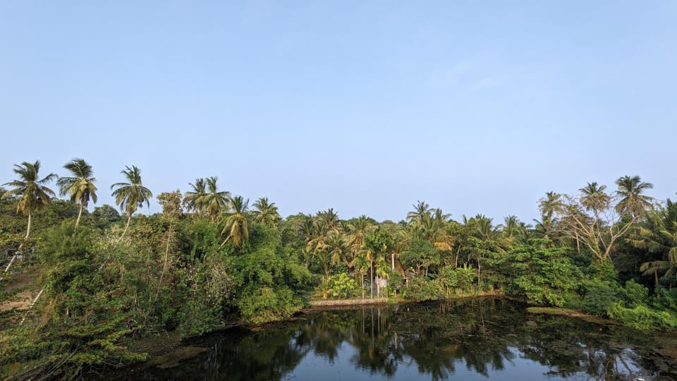 Lake view