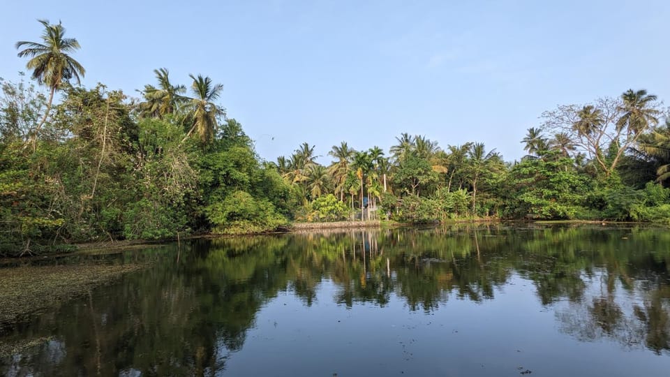 Lake view
