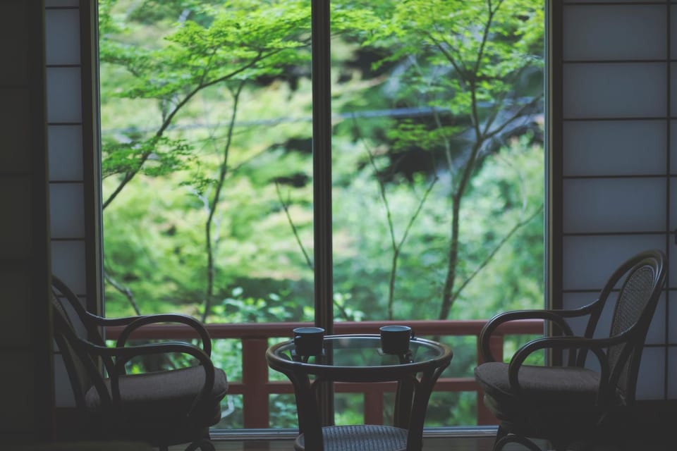 Garden, View (from property/room), Photo of the whole room, River view, Drinks, furniture