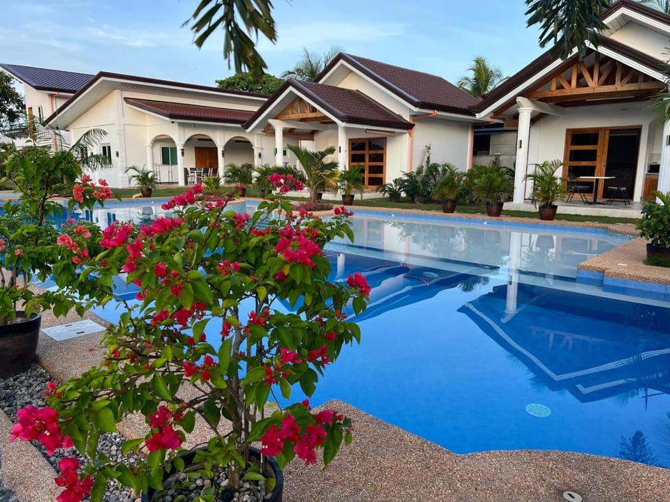 Property building, Garden, Pool view