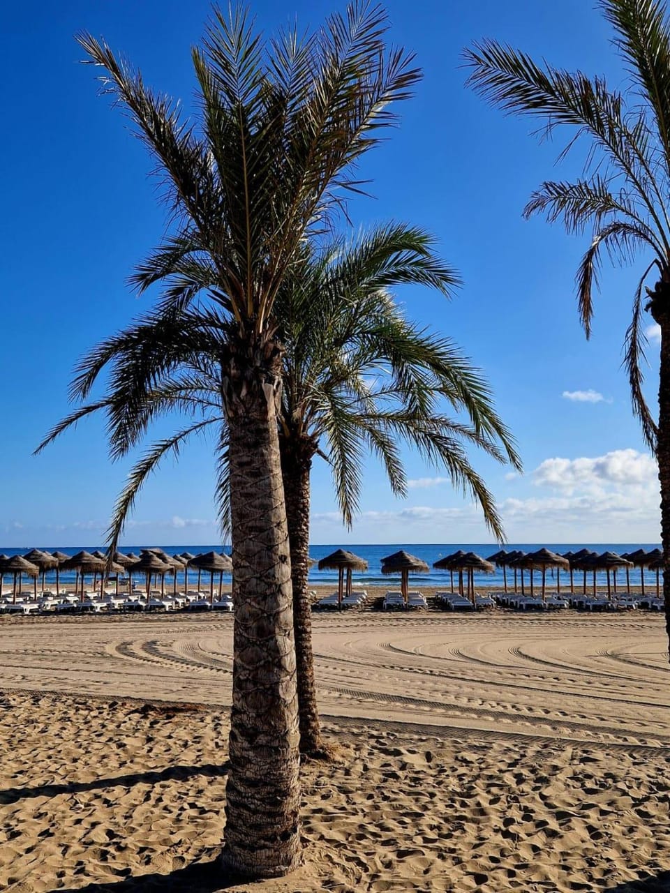 Other, Beach