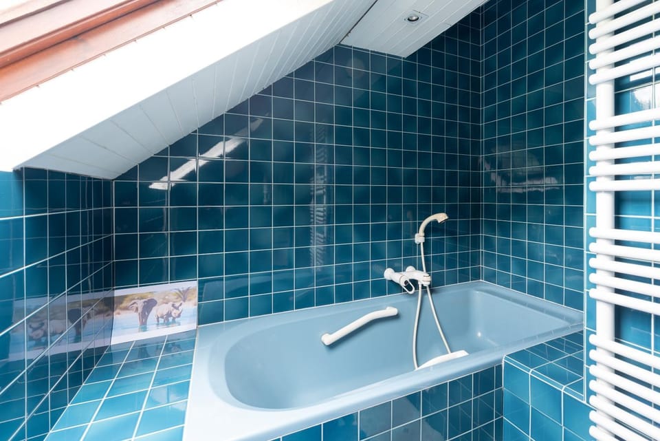 Bathroom, Living room