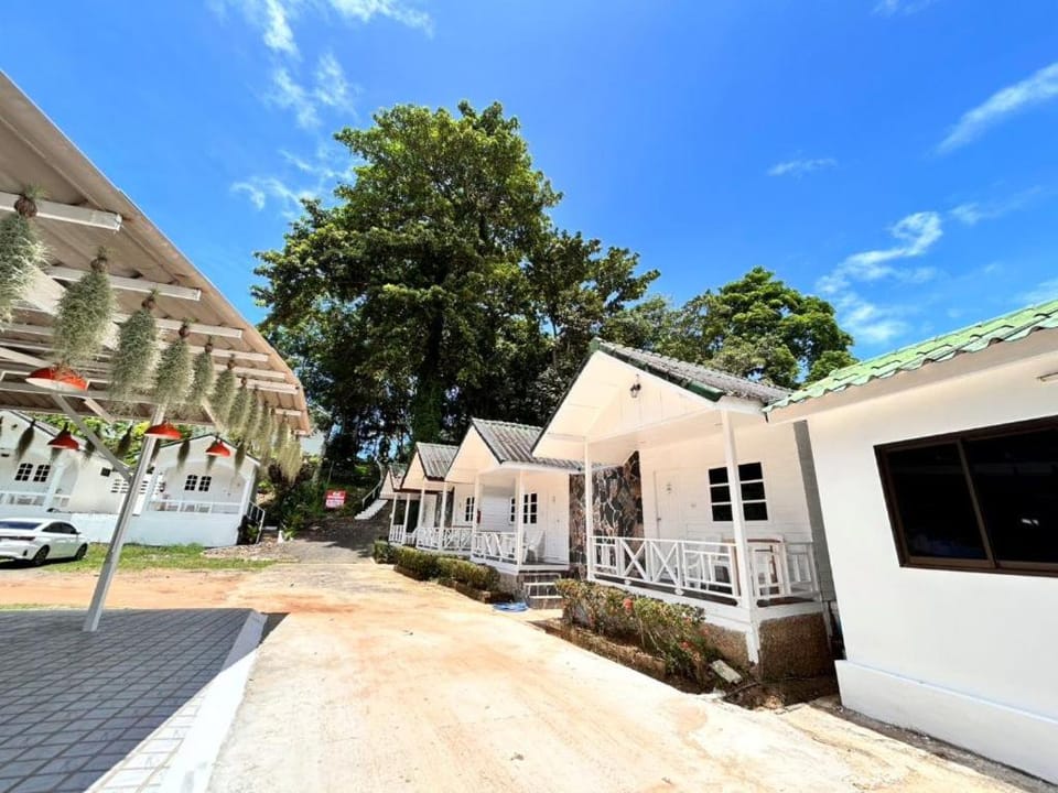 Property building, Day
