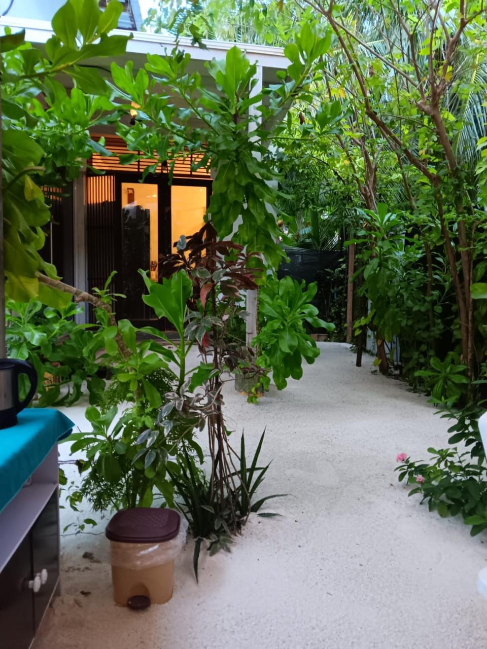 Day, Garden, Garden view