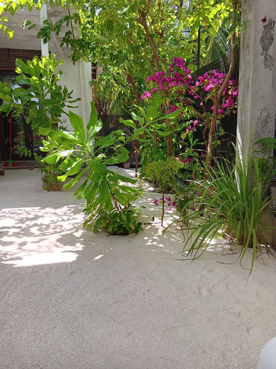 Garden, Garden view
