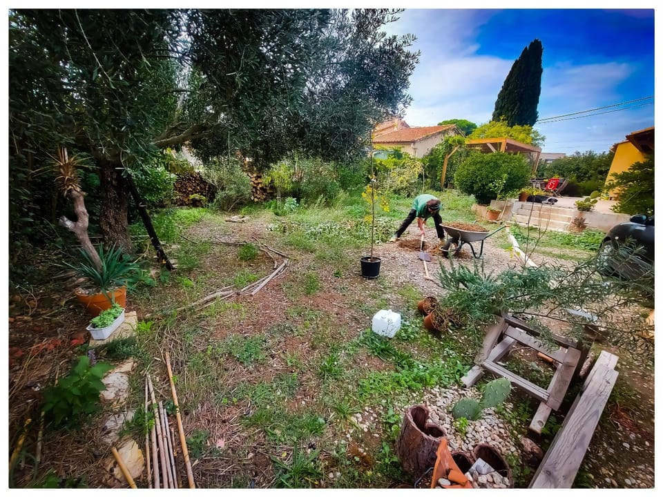 Natural landscape, Garden