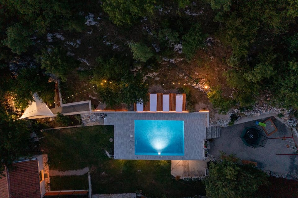 Night, Natural landscape, Garden, Garden view, Pool view, Swimming pool, sunbed