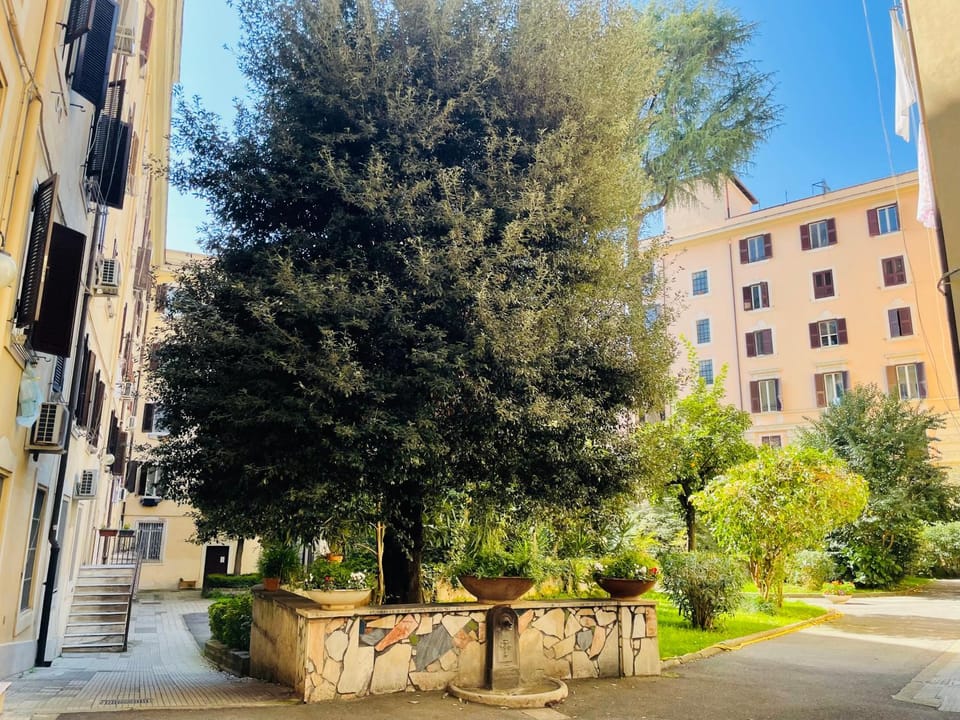 Garden, Garden view