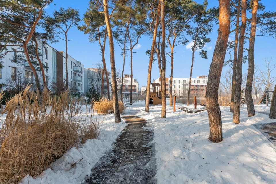 Spring, Day, Natural landscape, Winter