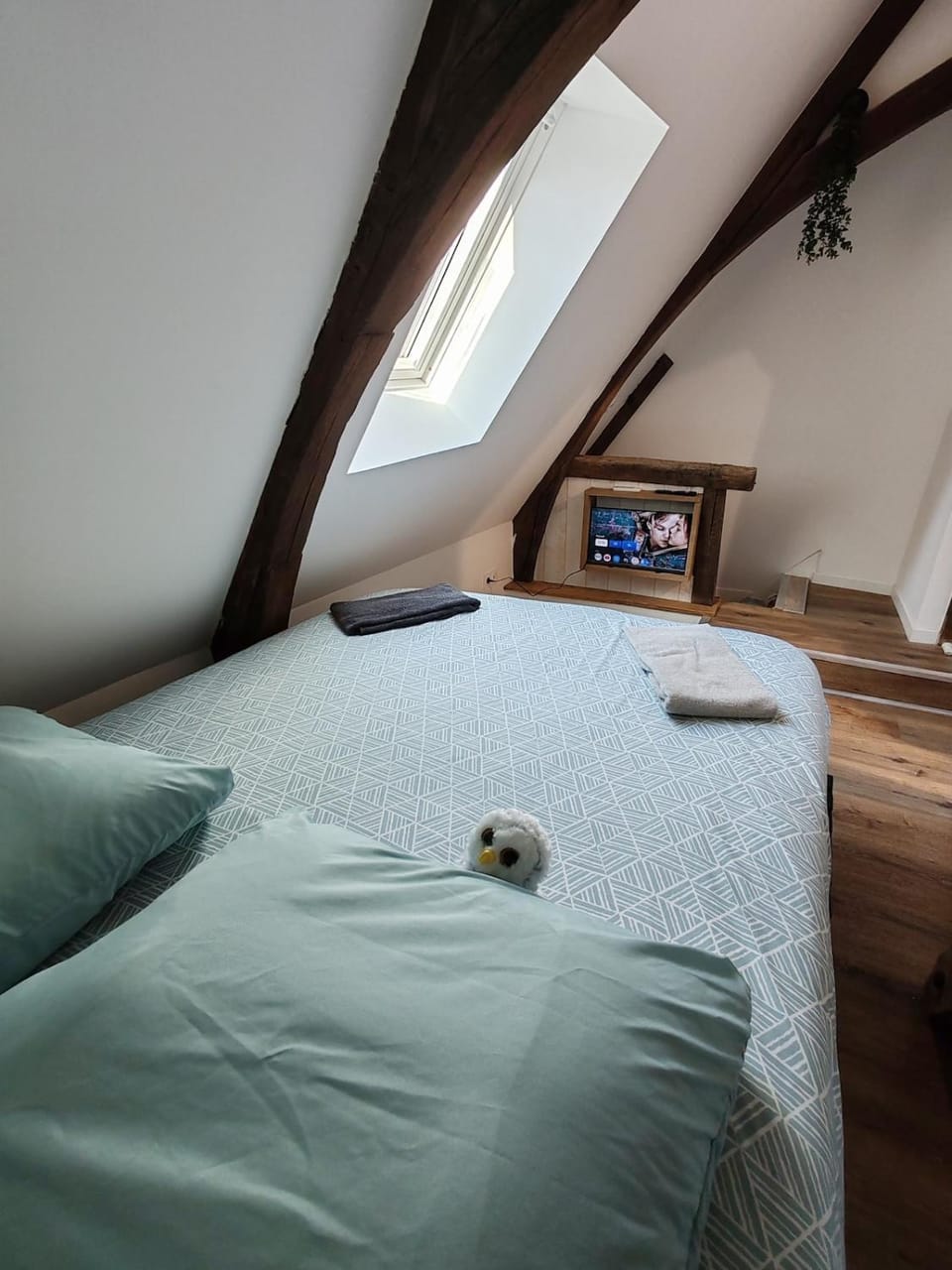 Bed, Photo of the whole room