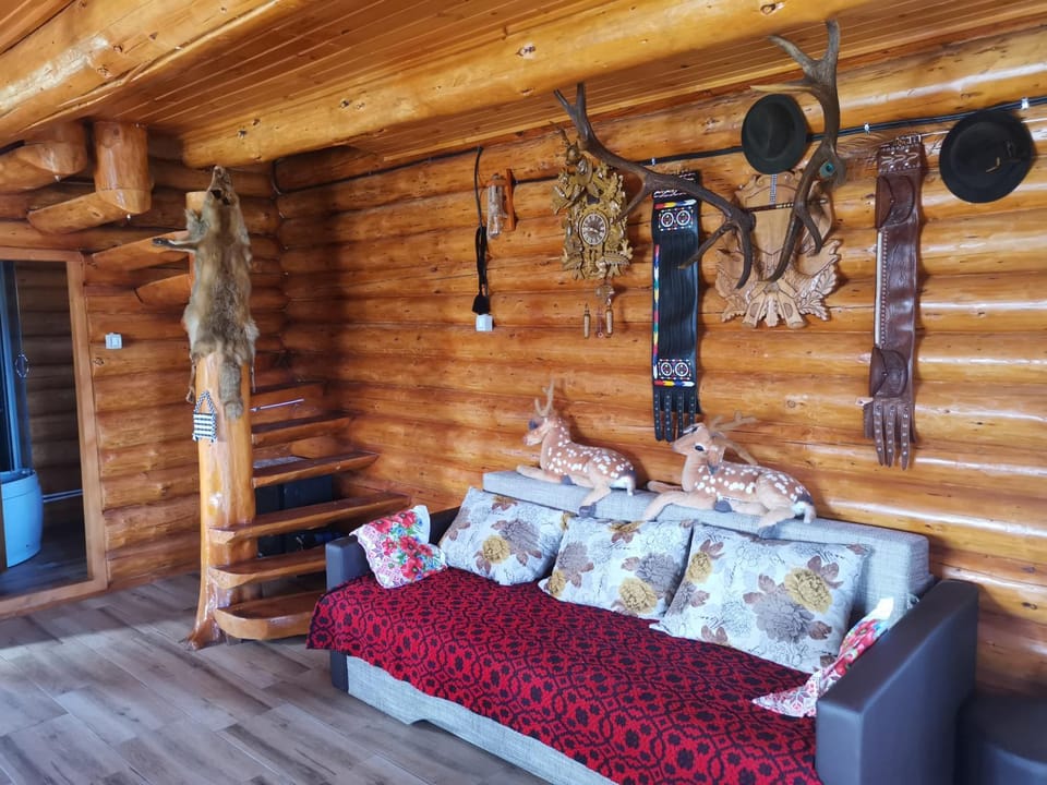 Cabana Poienita House in Romania