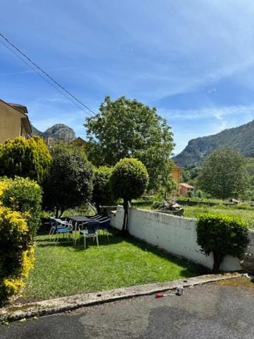 Garden, Garden view, Mountain view