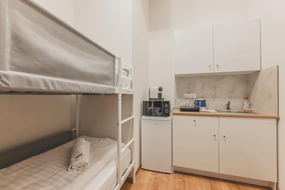 Old Town Walkable Flat with Kitchen and New Bath Apartment in Prague