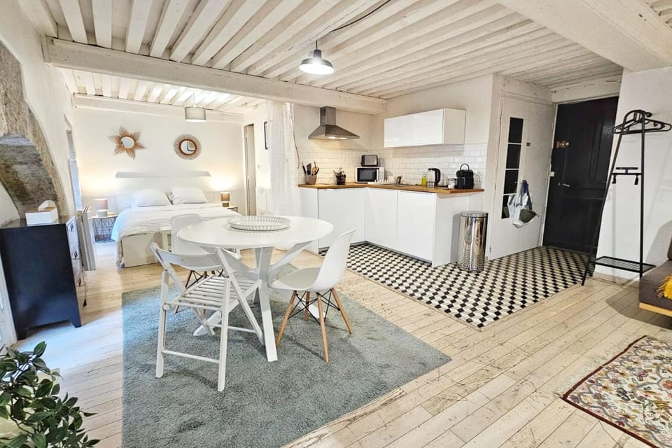 Le Sathonay - Elegant T2 in the hyper-center Apartment in Lyon