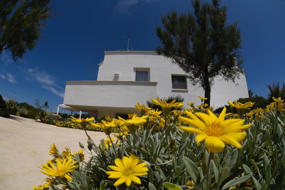 Garden, Garden, Garden view