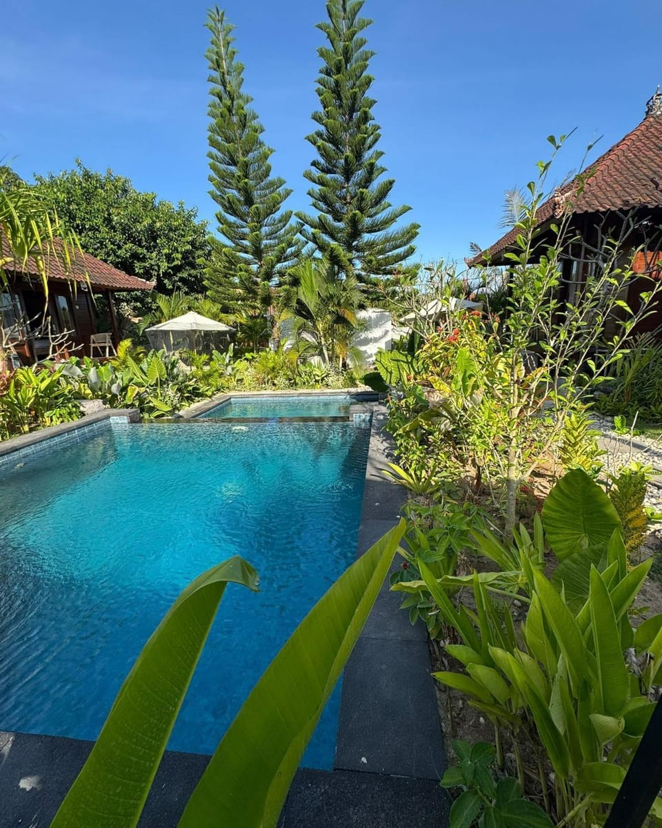 Garden, Garden view, Pool view, Swimming pool