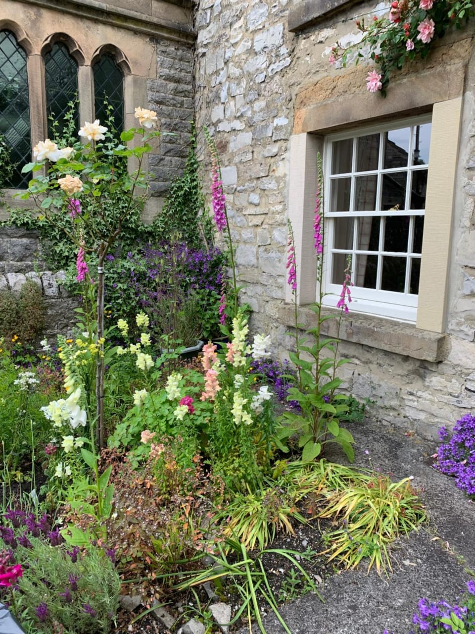 Garden view