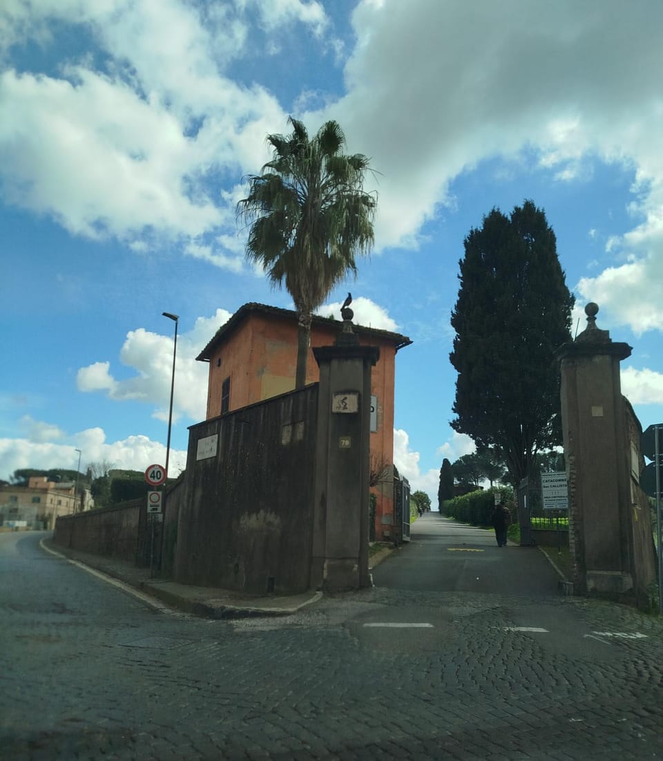 Neighbourhood, Activities