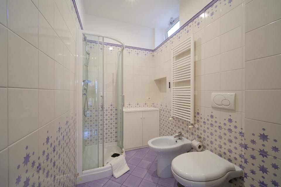 Shower, Toilet, Bathroom, bidet