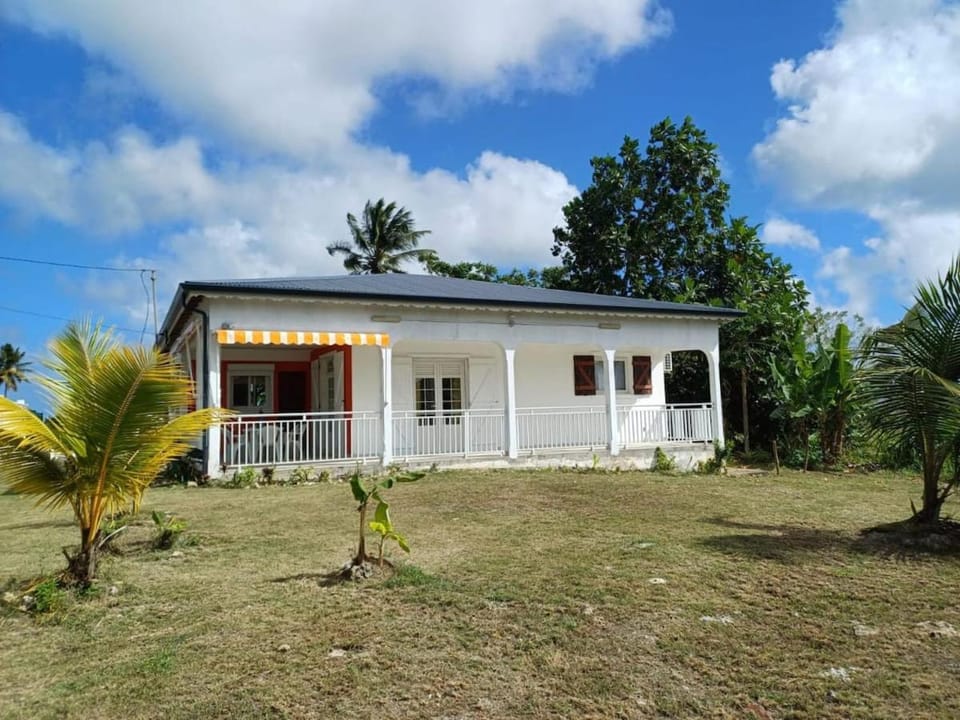 Property building, Garden view