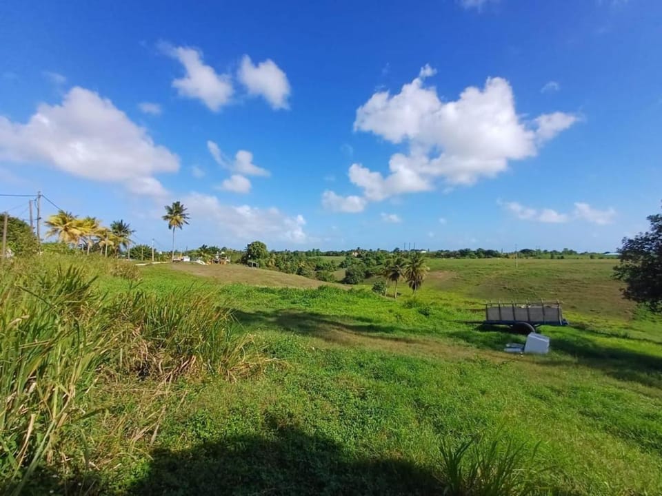 Day, Natural landscape