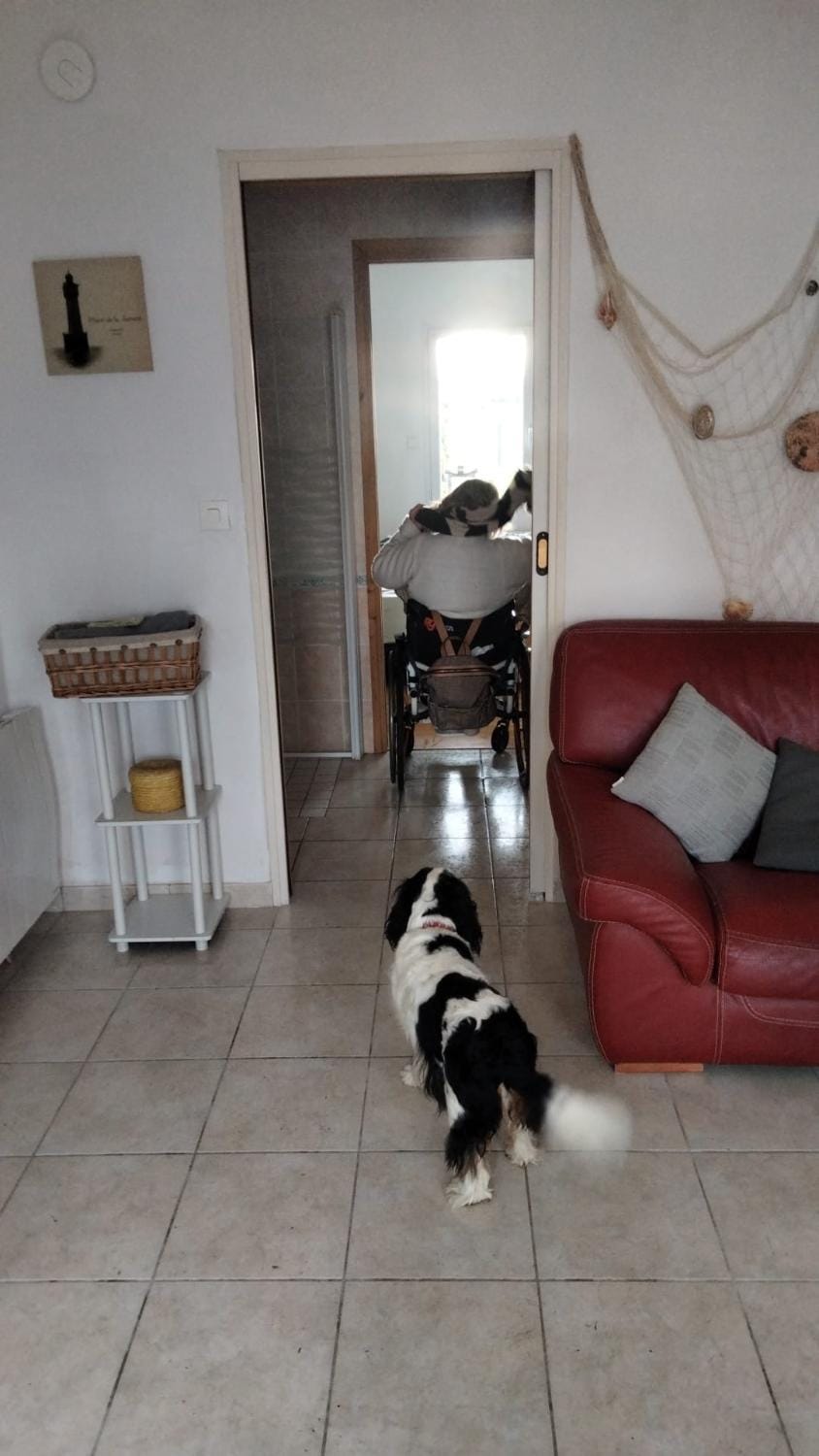 chambre d hôtes ALSABREIZH Bed and Breakfast in Brittany