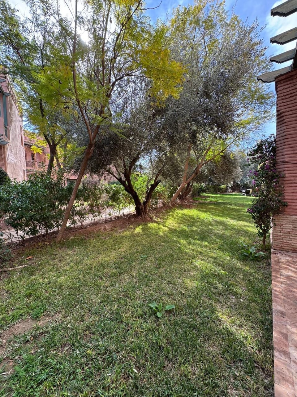 Spring, Day, Natural landscape, Garden, Garden view