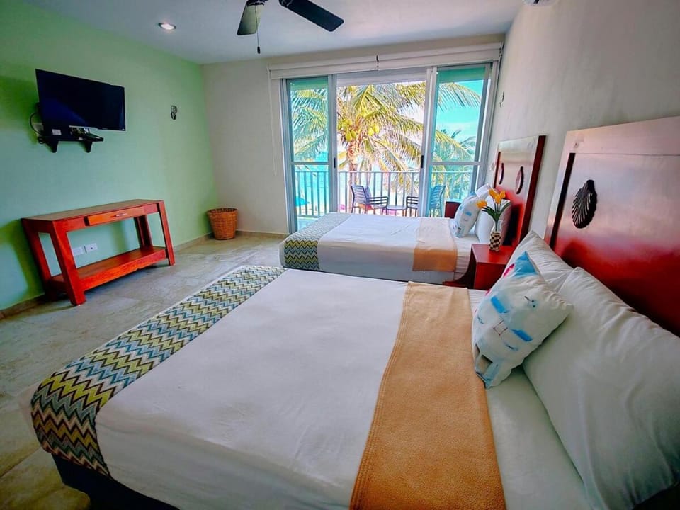 Casa Paloma Oceanfront House at Puerto Morelos House in Puerto Morelos