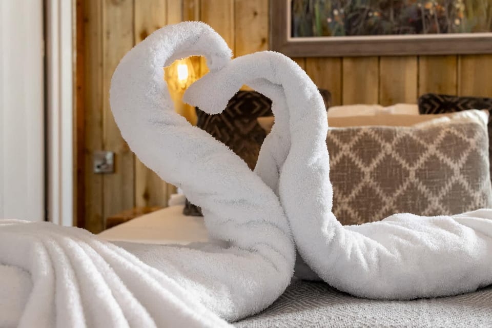 Bed, Decorative detail, Decorative detail, Bedroom, Pets, internet, internet, pet friendly, towels