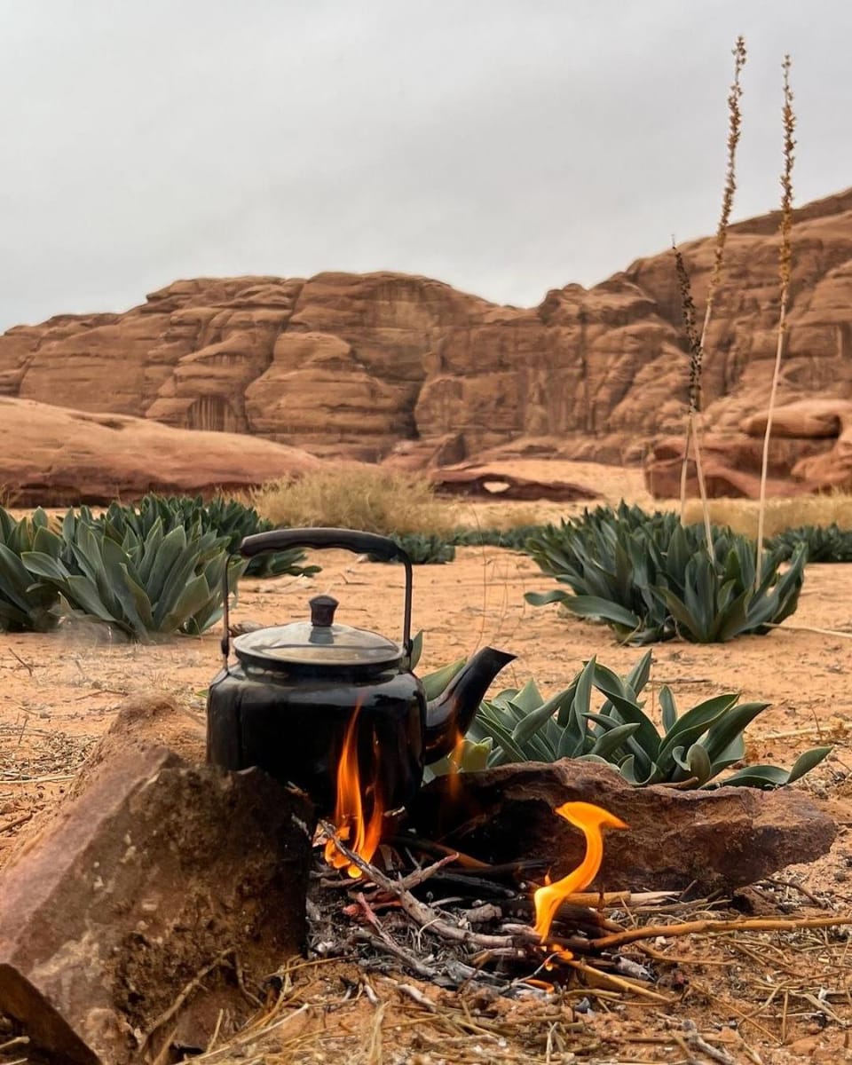 Wadi Rum Thamer Hotel in South District