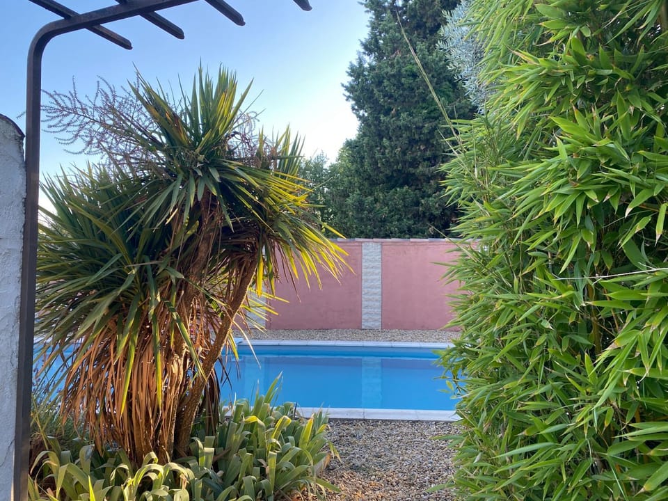 Garden, Swimming pool