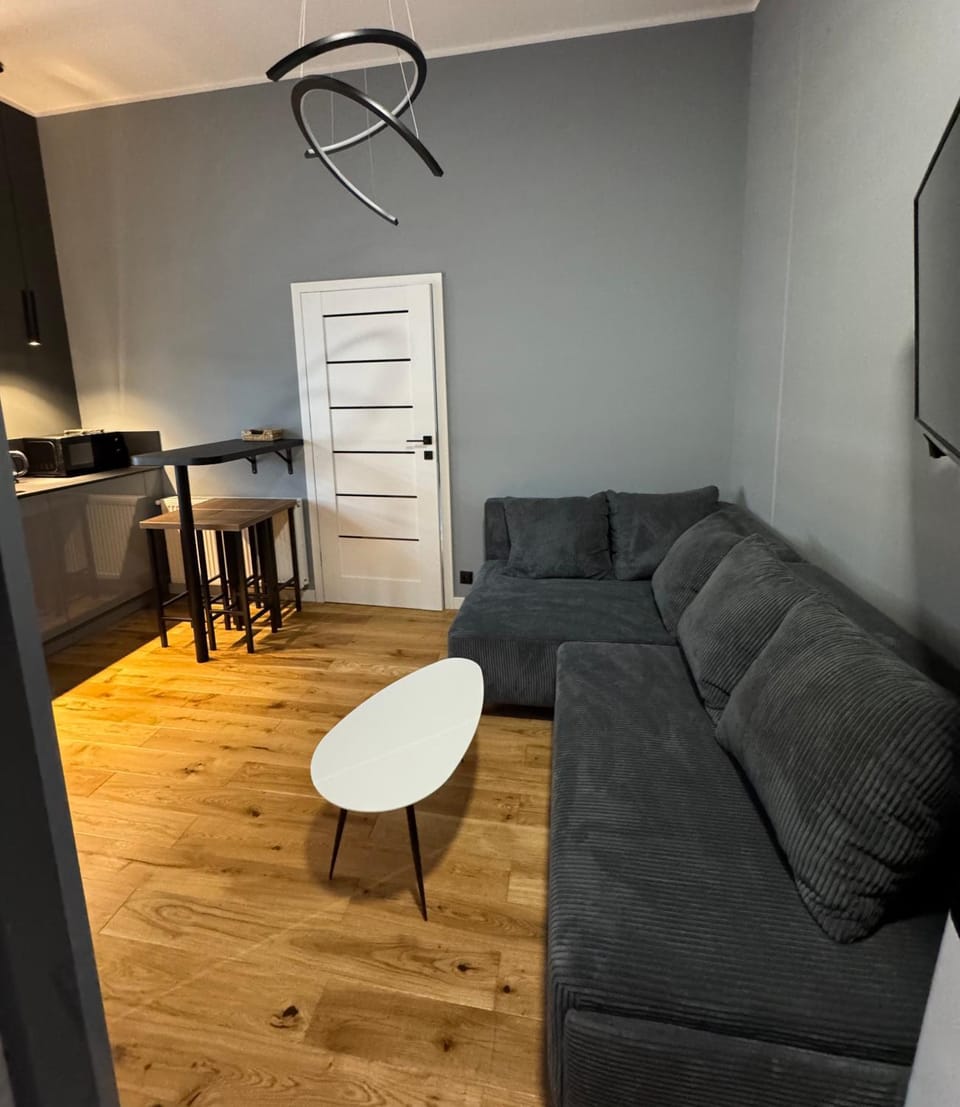 TV and multimedia, Kitchen or kitchenette, Living room, Seating area