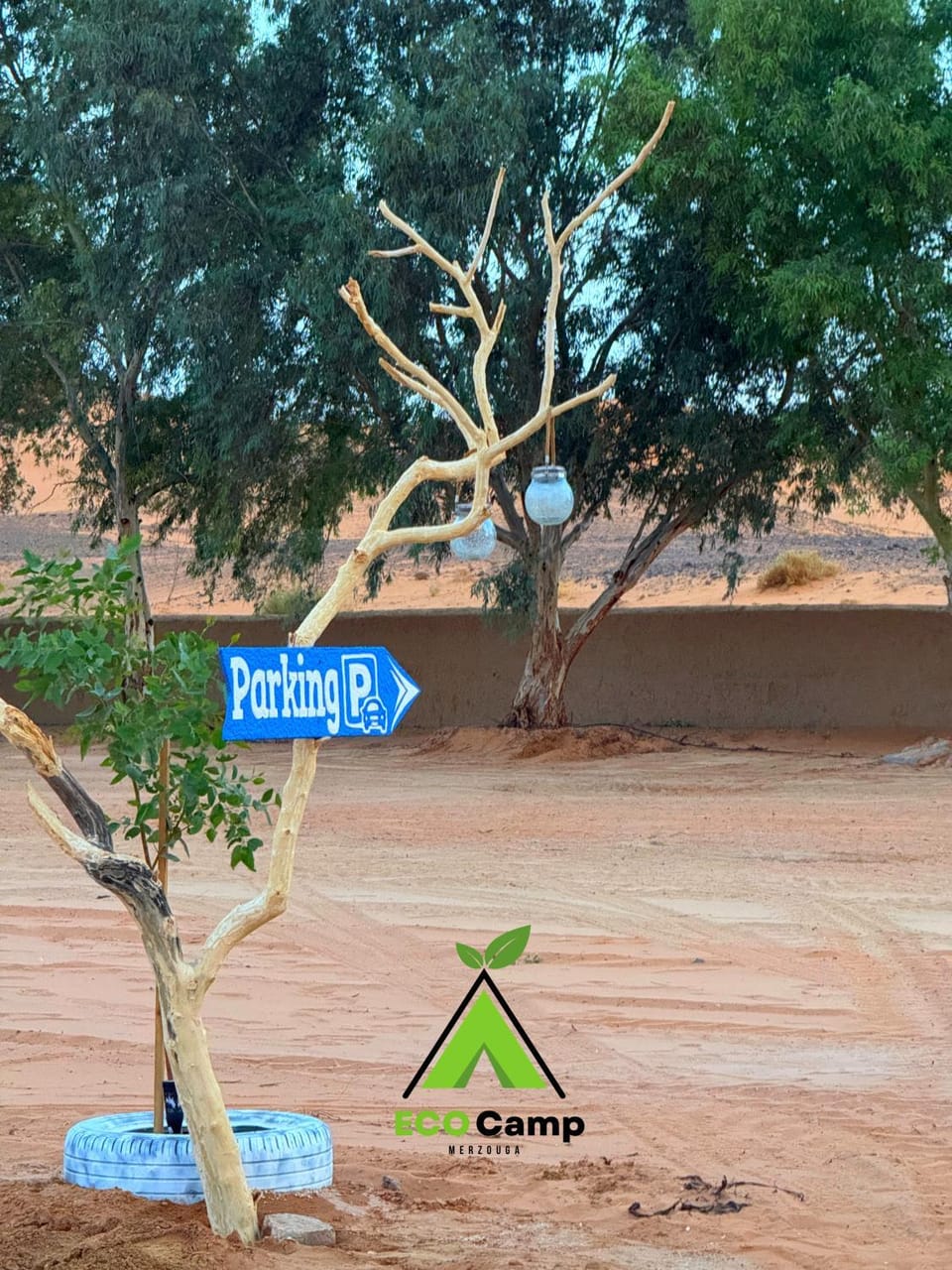 Day, Parking