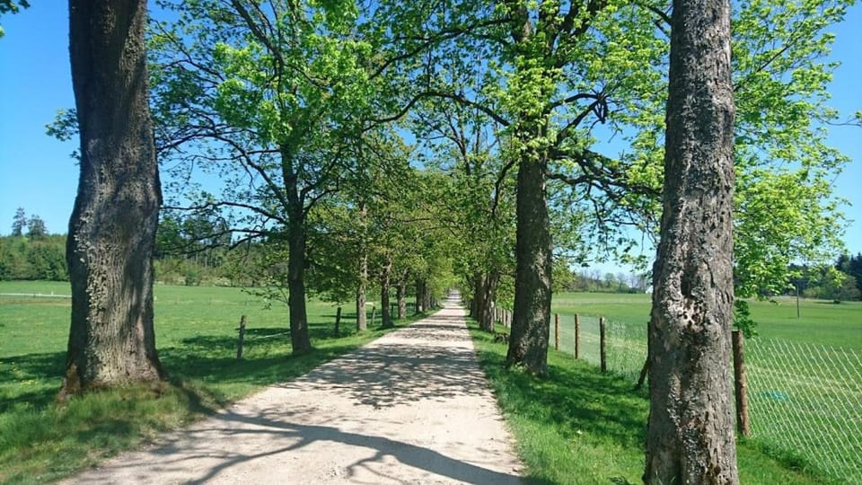Neighbourhood