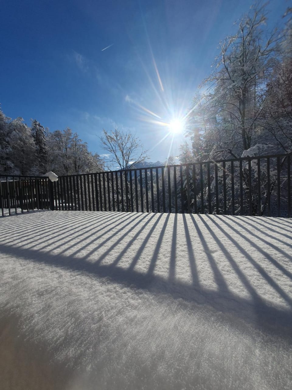 Natural landscape, Winter, Balcony/Terrace, Mountain view