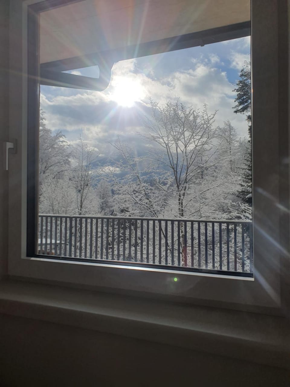 Natural landscape, Winter, View (from property/room), Balcony/Terrace, Mountain view