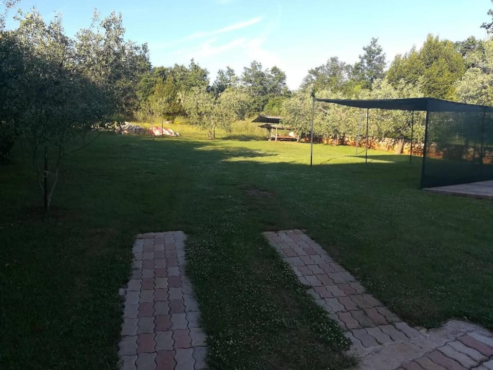Patio, BBQ facilities