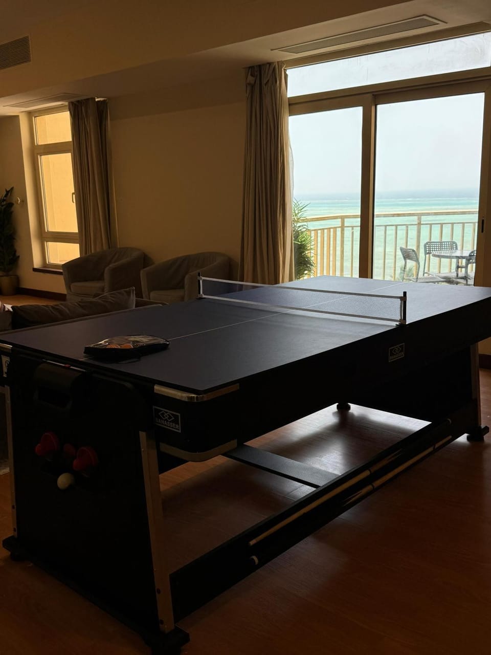 Game Room, Table tennis