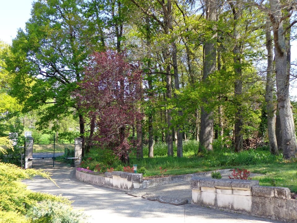 Garden view