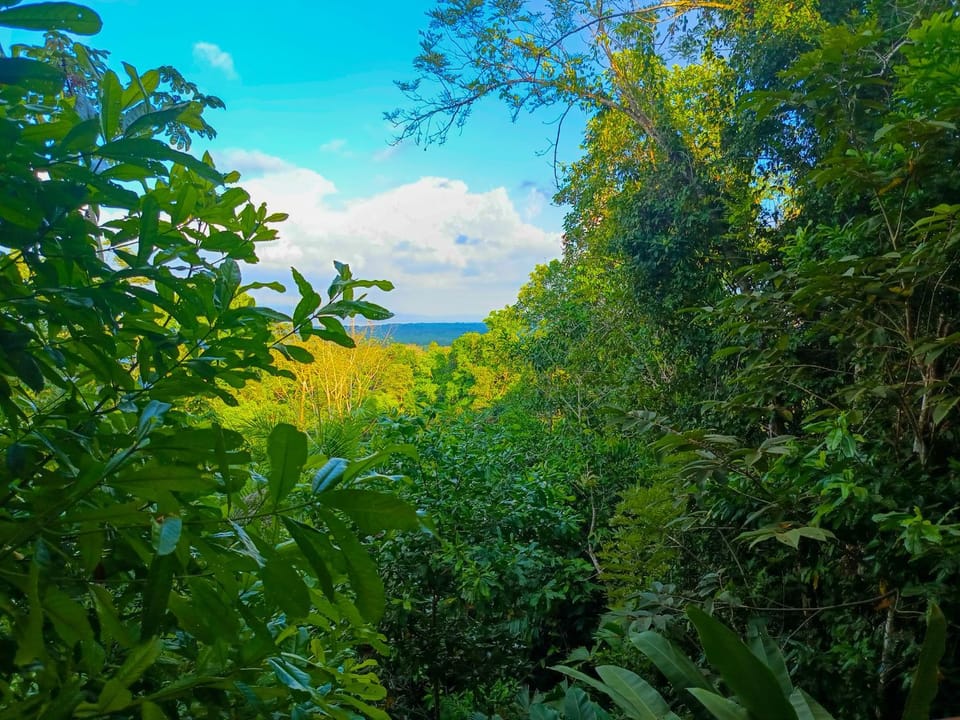 Day, Natural landscape, Mountain view
