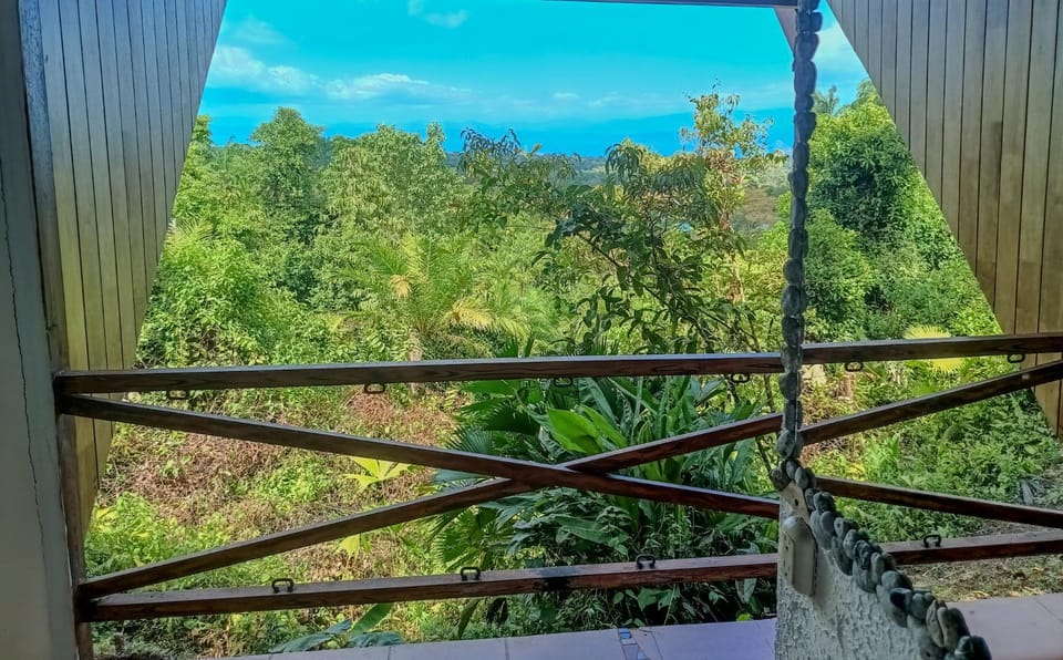 Day, Natural landscape, View (from property/room), Sea view