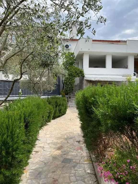 Property building, Summer, Garden