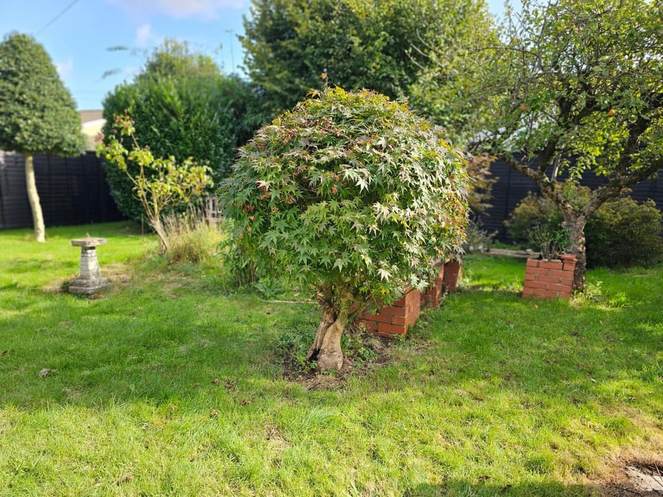Garden, Garden view